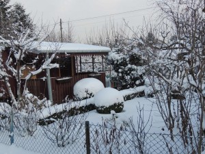 zdjęcia ogrodów KOŁO II zimą 038