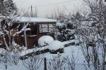 zdjęcia ogrodów KOŁO II zimą 038